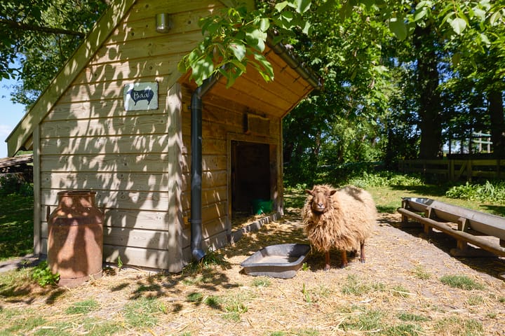 Foto 78 van Middenweg 9