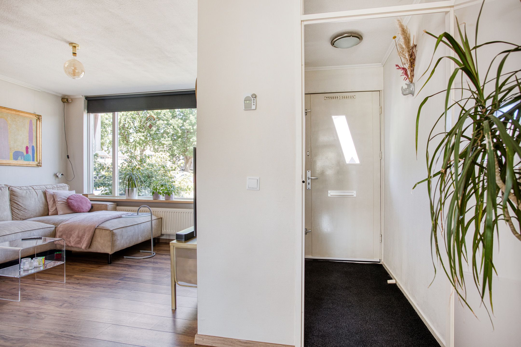 Foto 6 van De Houtsnip 10