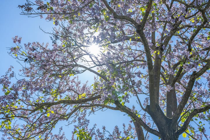 Foto 24 van Dorpsstraat 48