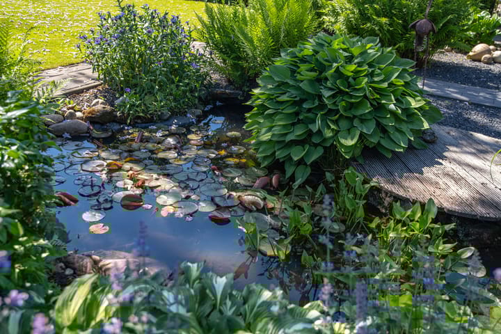 Foto 26 van Dorpsstraat 48