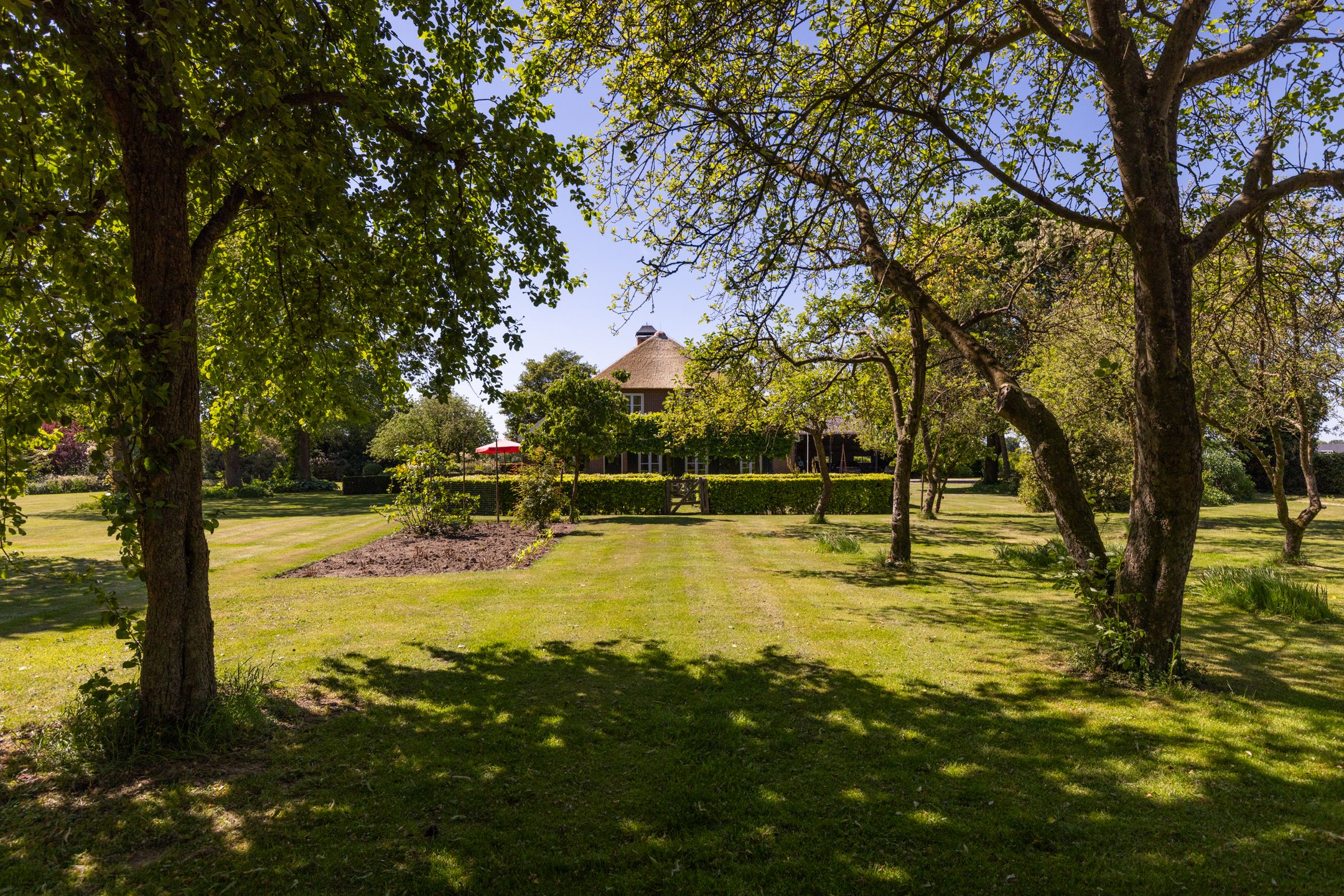 Photo 30 of Baaksevoetpad 5