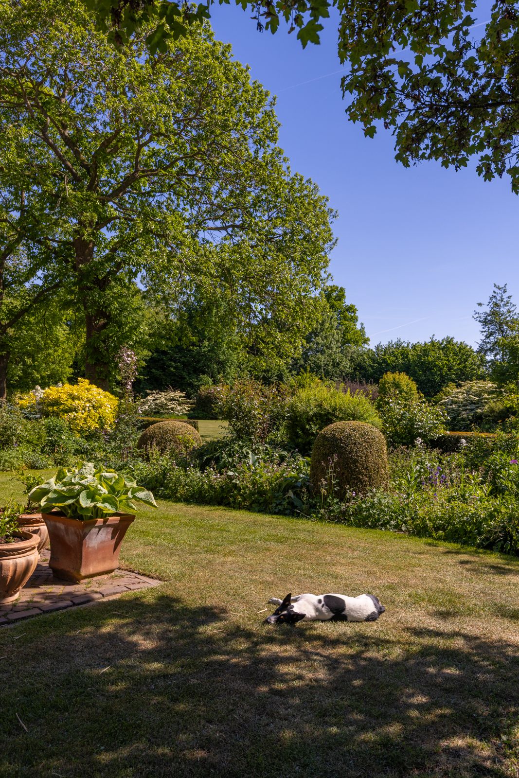 Photo 45 of Baaksevoetpad 5