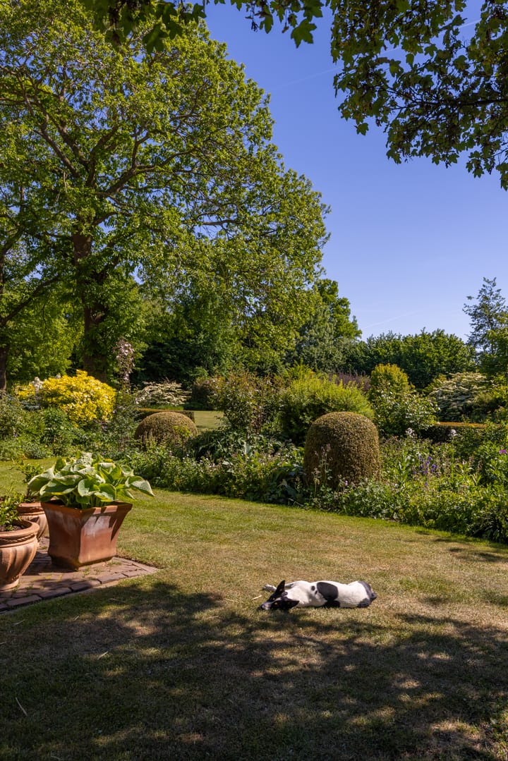 Foto 45 van Baaksevoetpad 5