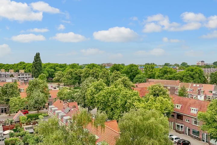 Foto 14 van Linnaeusstraat 64