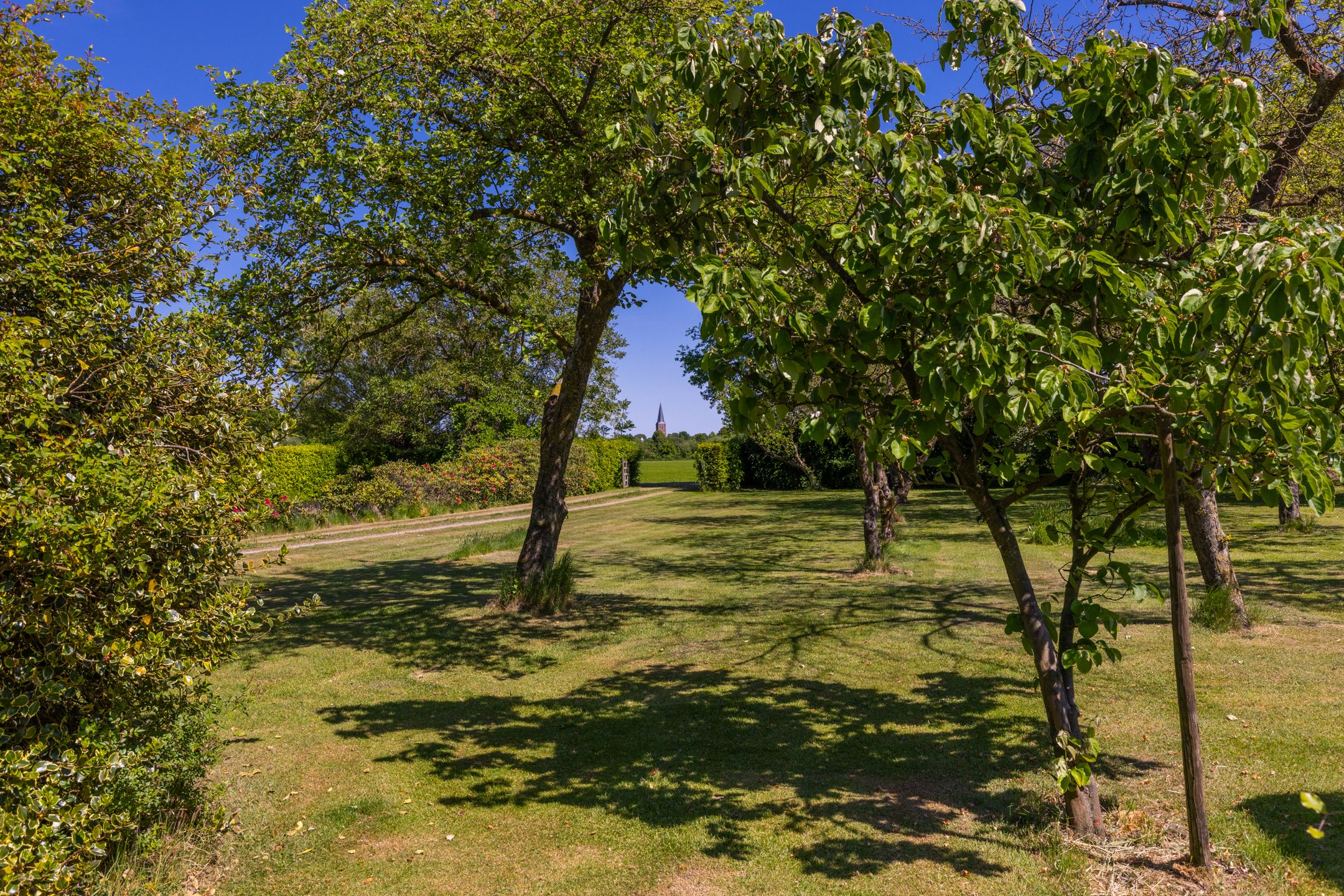 Photo 48 of Baaksevoetpad 5