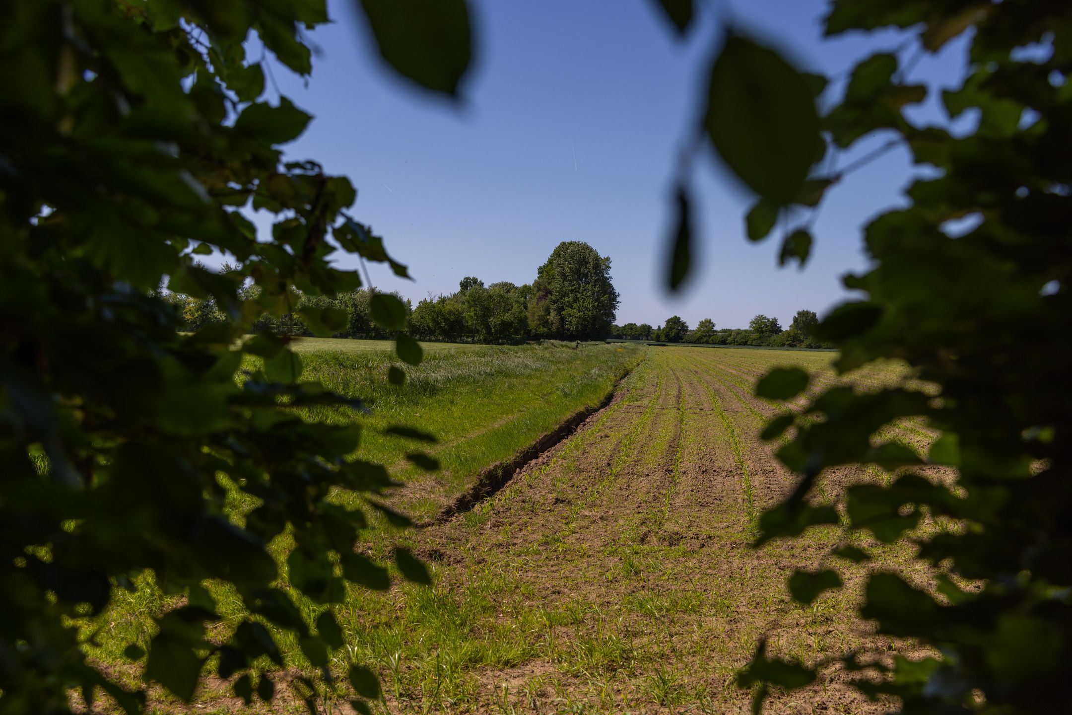 Photo 54 of Baaksevoetpad 5