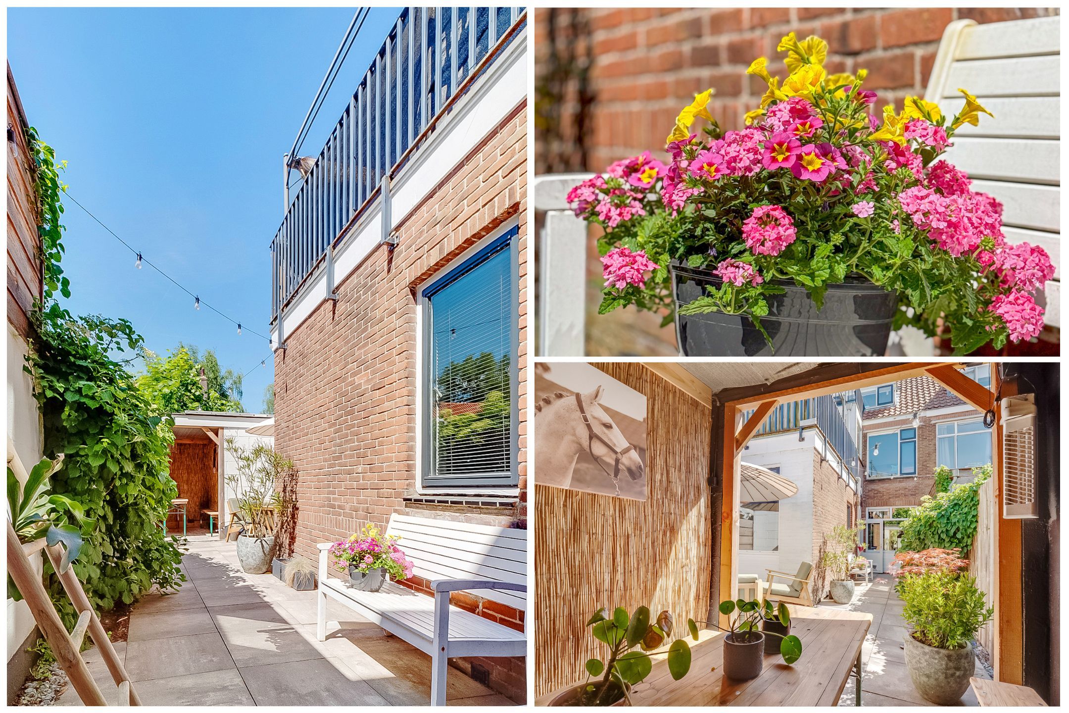 Foto 42 van Linnaeusstraat 64