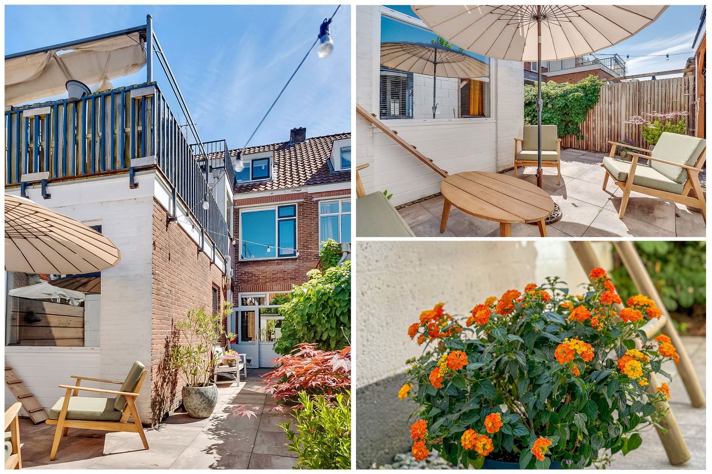 Foto 44 van Linnaeusstraat 64