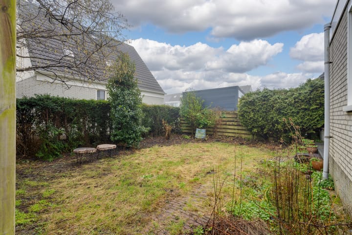 Foto 20 van Tormentil 20