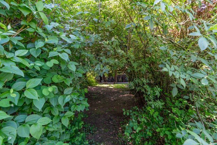 Foto 29 van Grotestraat 104