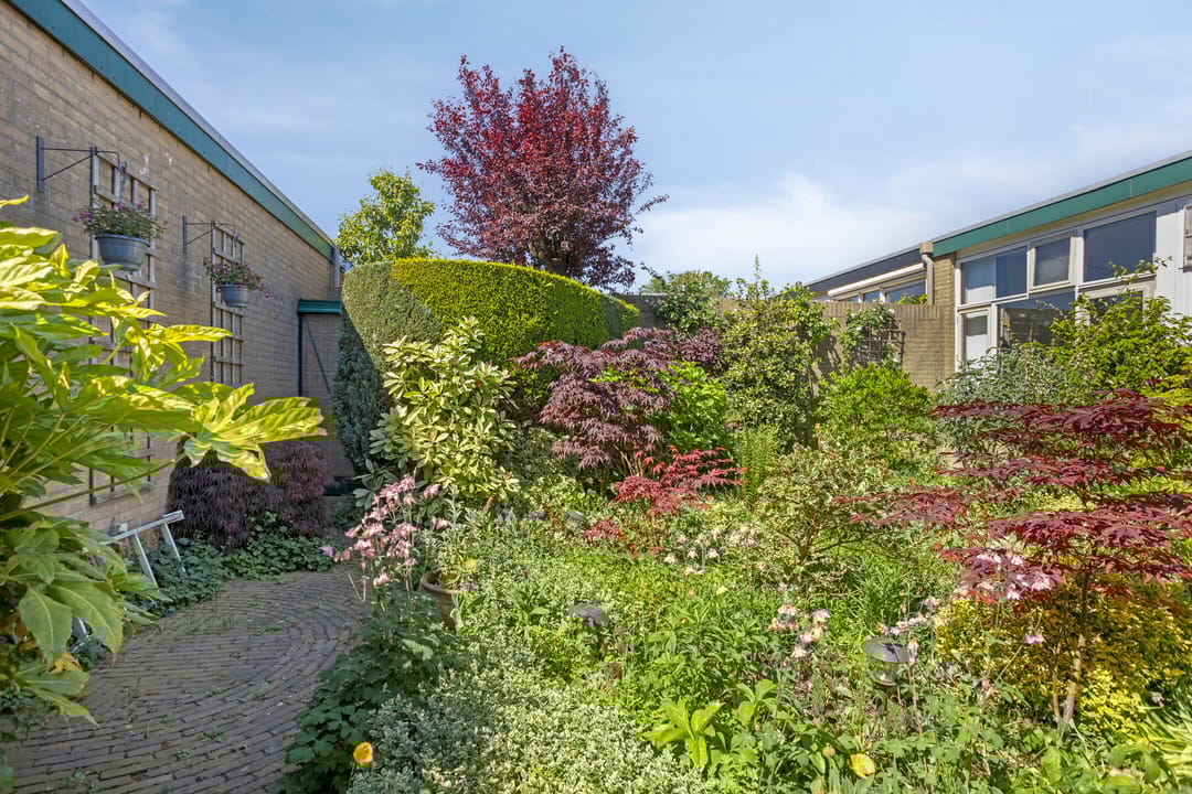 Photo 31 of Groenoord 180