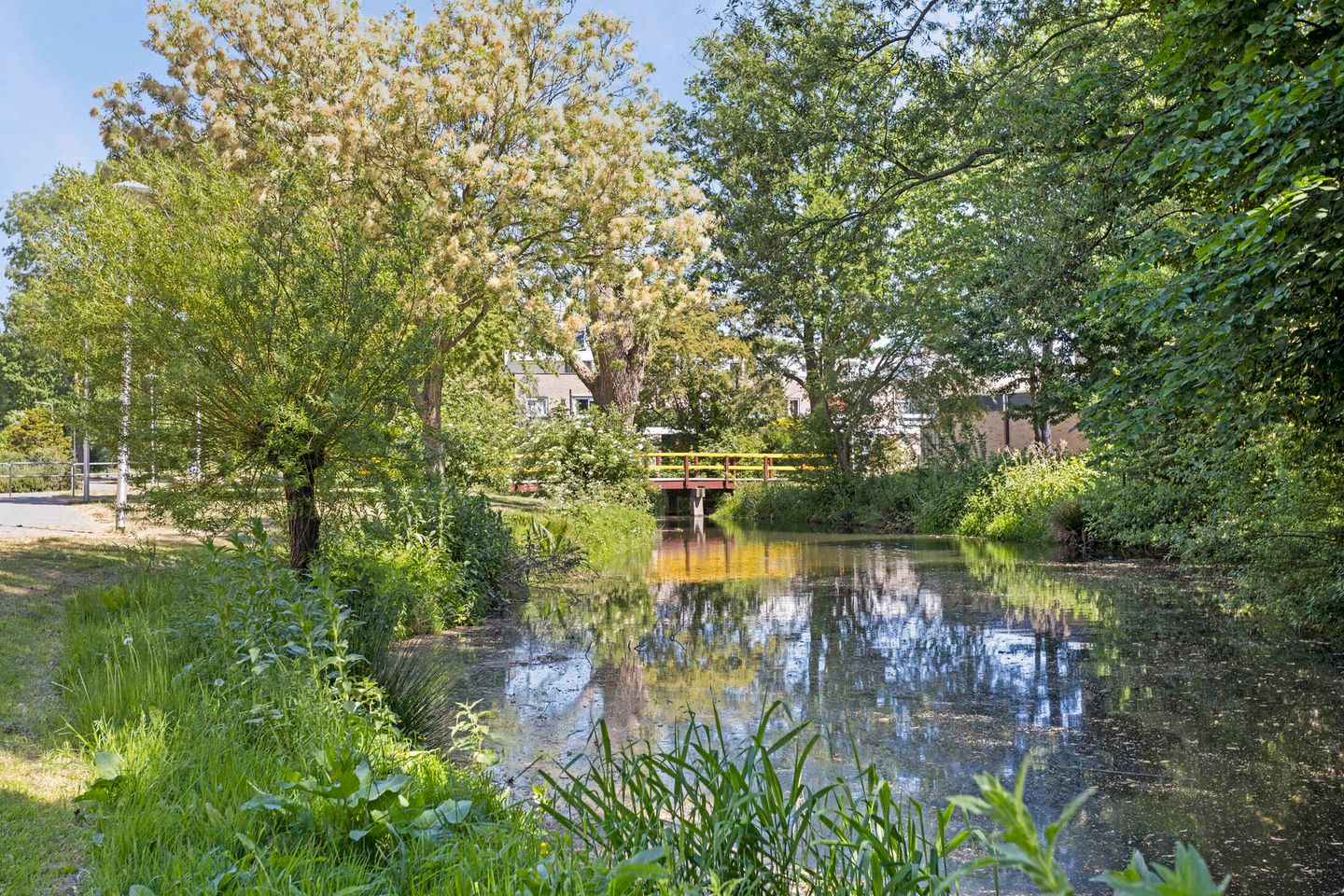 Photo 35 of Groenoord 180