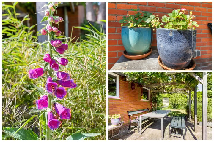 Foto 44 van Wittelaan 13