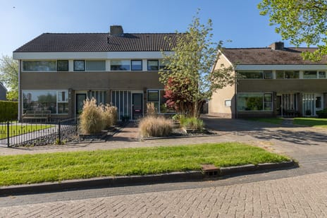 undefined main image