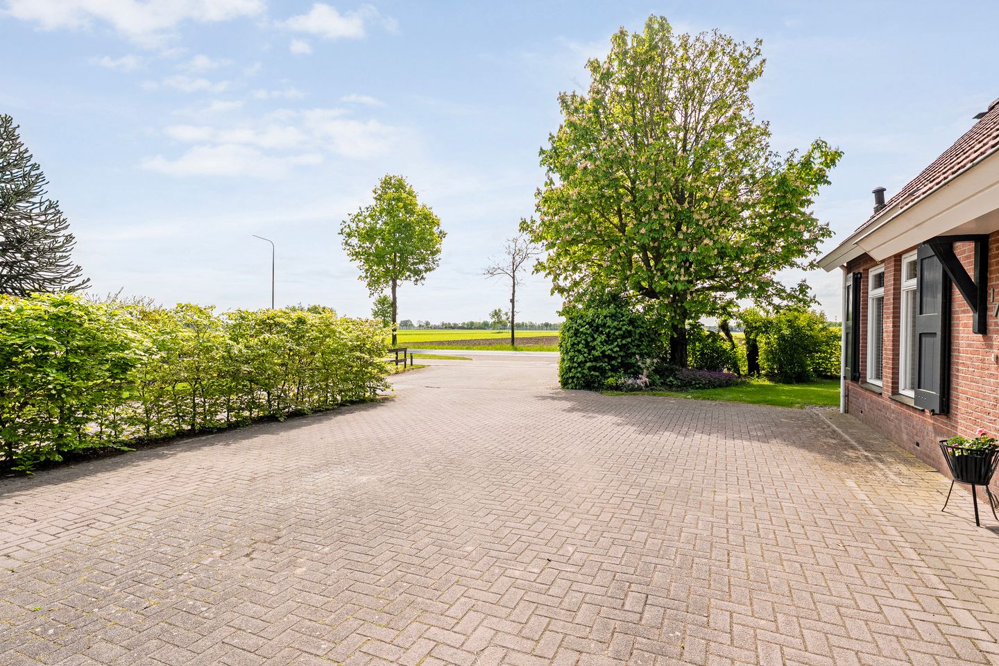 Foto 5 van Westeinde 170