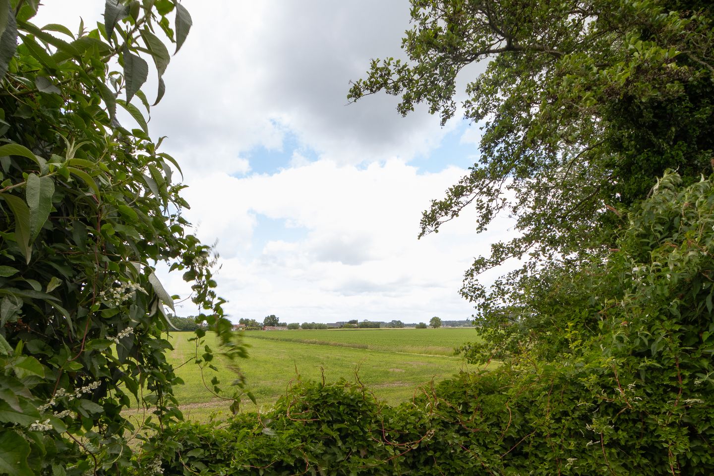 Foto 29 van Margaretsedijk 32