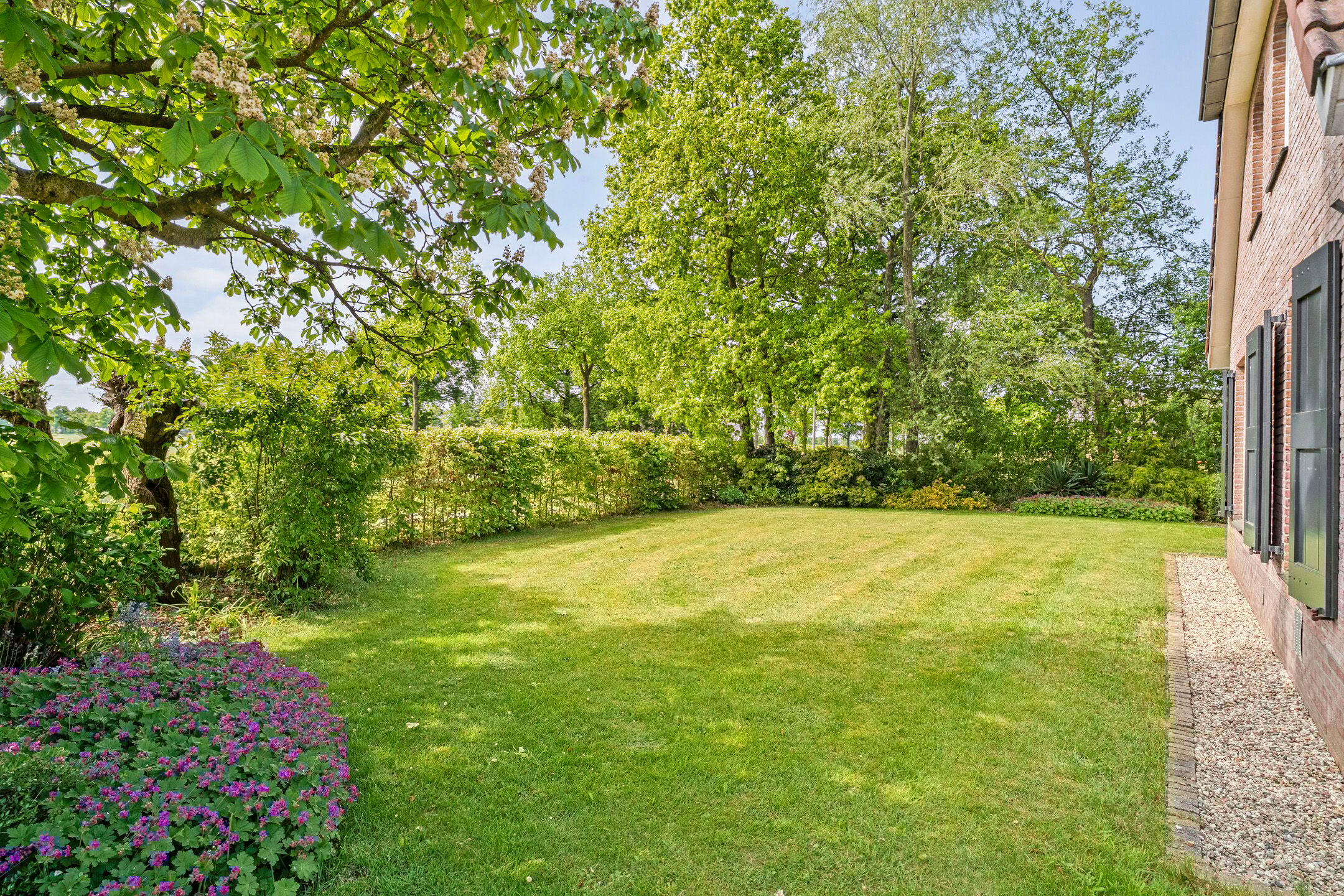 Foto 51 van Westeinde 170