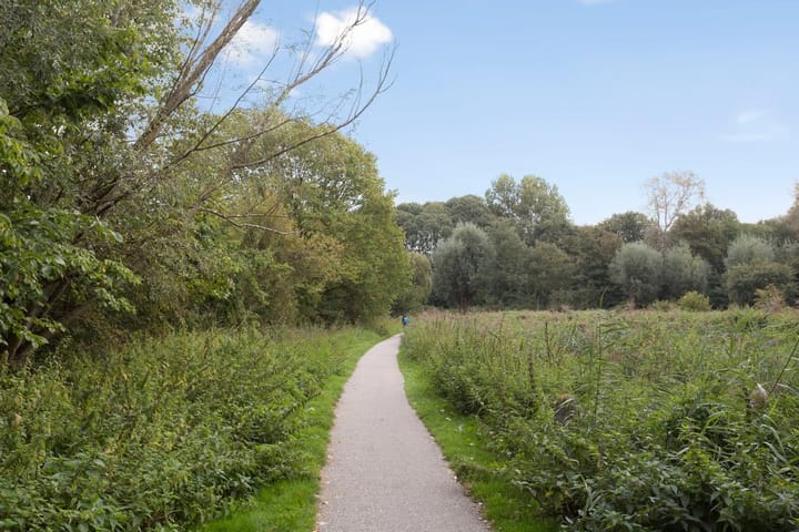 Foto 33 van Ambonstraat 36