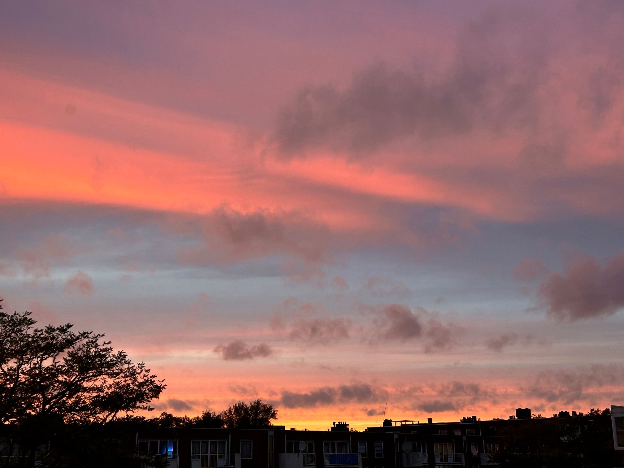 Foto 36 van Ambonstraat 36