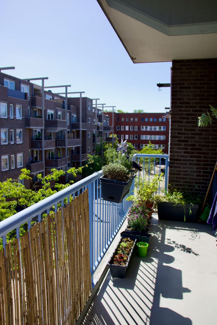 Foto 18 van Ambonstraat 36