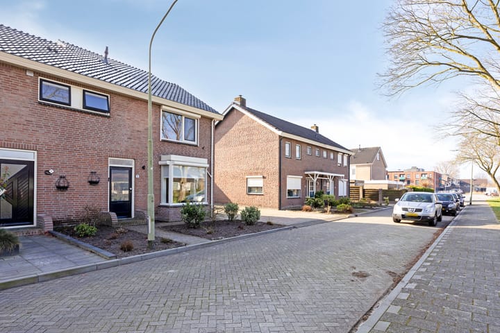 Foto 2 van Scheerboom 6