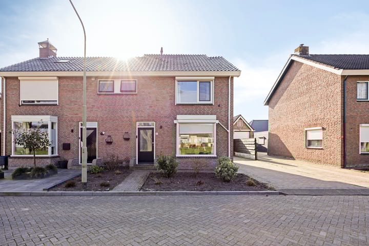 Foto 3 van Scheerboom 6