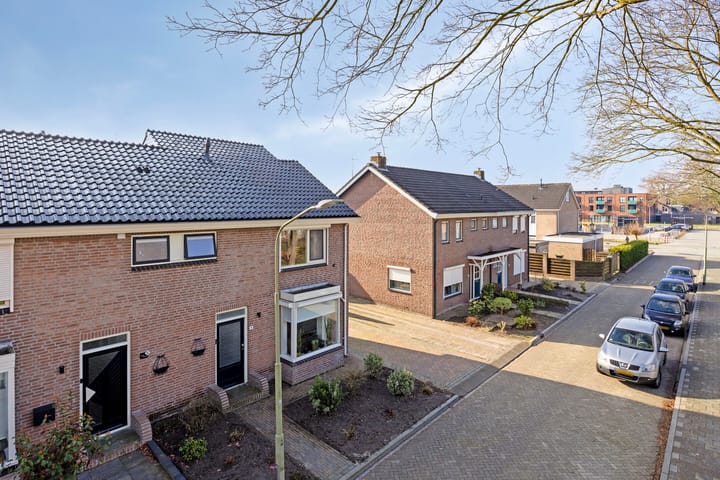 Foto 6 van Scheerboom 6