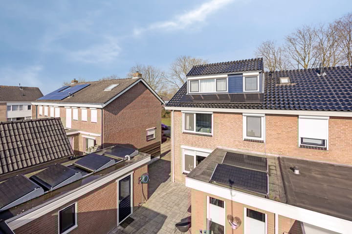 Foto 7 van Scheerboom 6