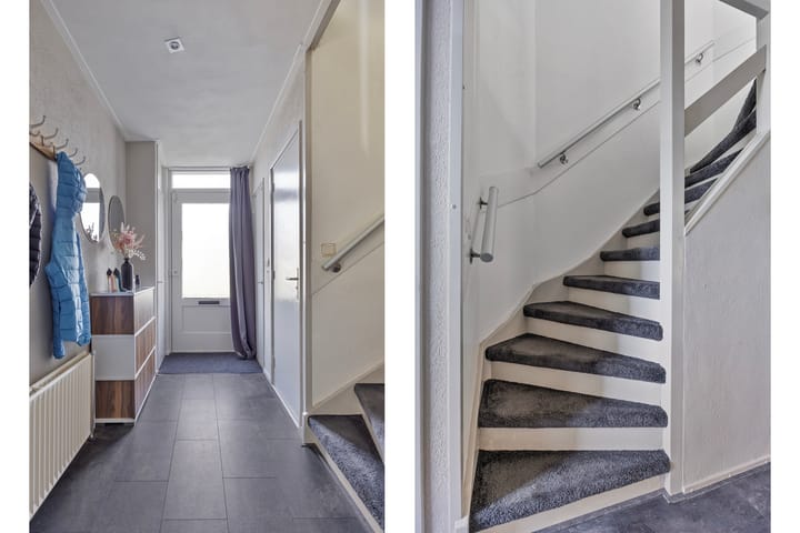 Foto 10 van Scheerboom 6