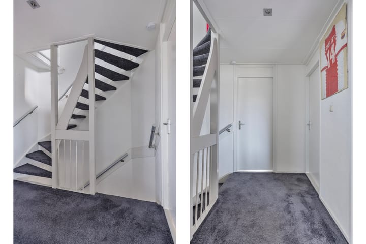 Foto 24 van Scheerboom 6