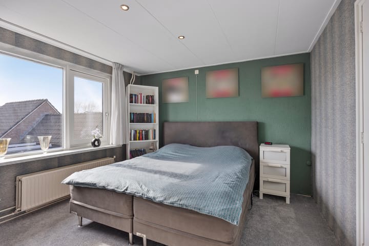 Foto 25 van Scheerboom 6