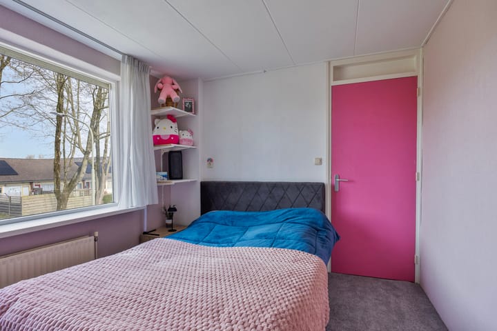 Foto 29 van Scheerboom 6