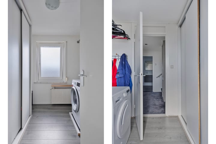 Foto 32 van Scheerboom 6