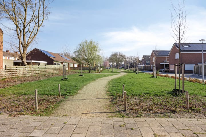 Foto 48 van Scheerboom 6