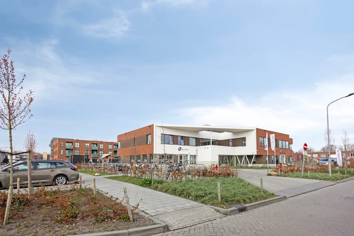 Foto 49 van Scheerboom 6