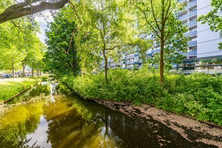 Foto 44 van Ds van den Boschlaan 109