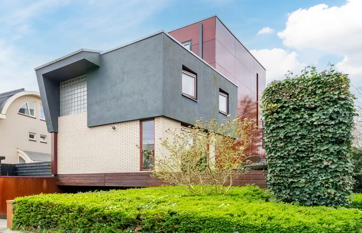 Foto 1 van Zilvervlek 25