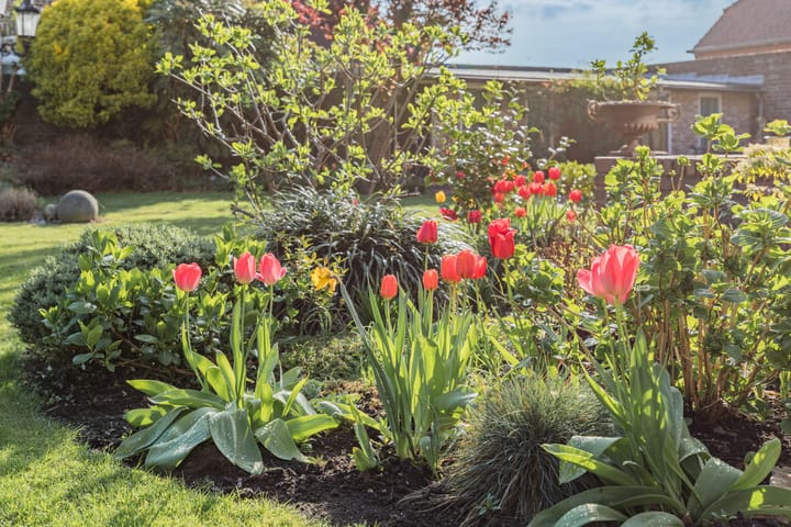 Foto 67 van Fort Forelstraat 3