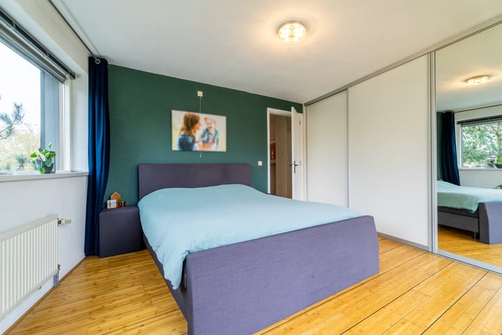 Foto 20 van Zilvervlek 25