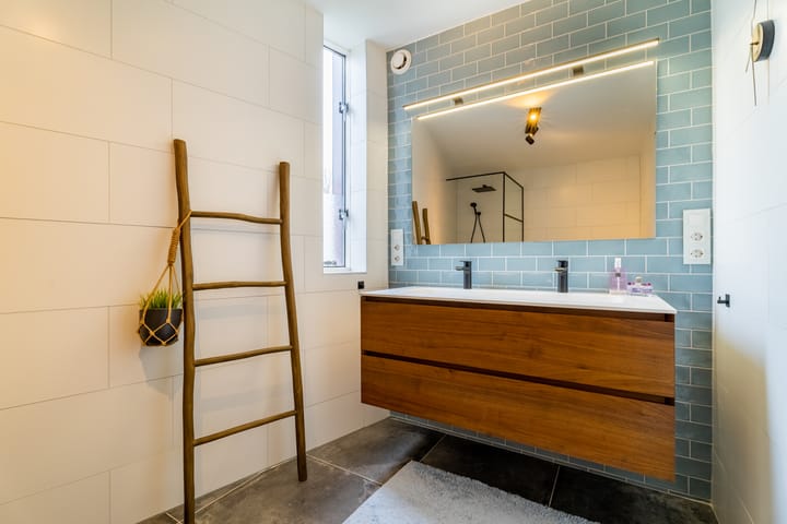 Foto 24 van Zilvervlek 25