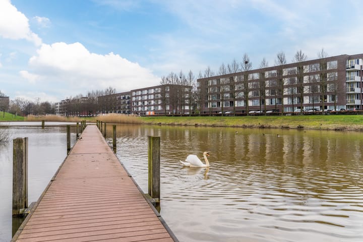 Foto 39 van Zilvervlek 25