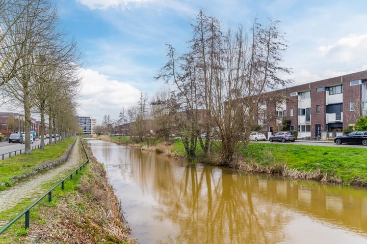 Foto 41 van Zilvervlek 25