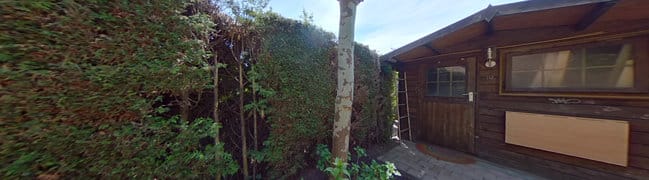 Achtertuin