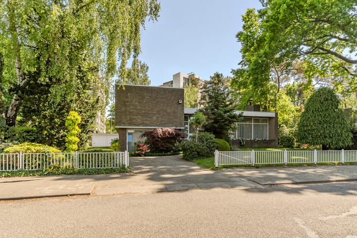 Foto 57 van Indigolaan 2