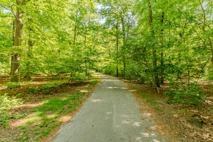 Foto 61 van Indigolaan 2