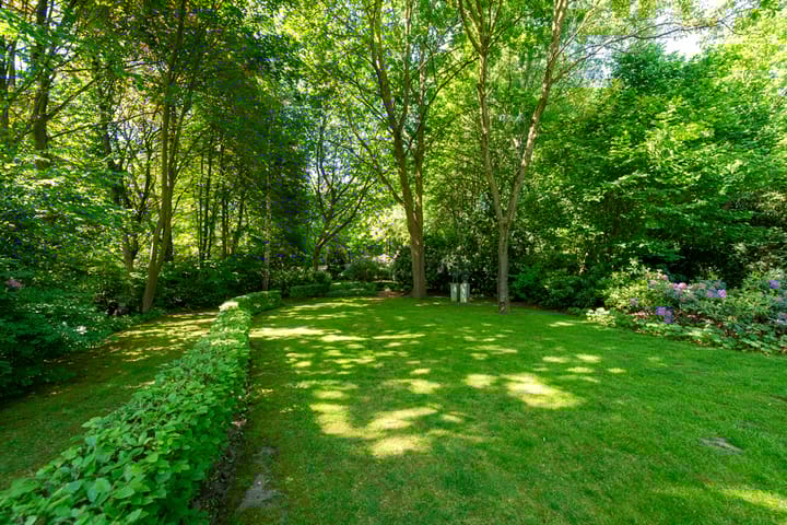 Foto 5 van Dintel 39