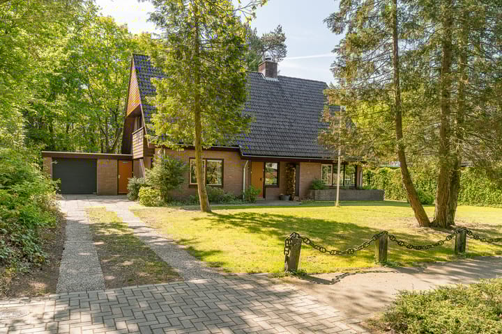 Foto 1 van Prins Johan Frisolaan 13