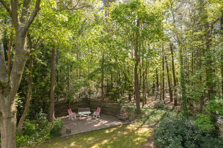 Foto 53 van Prins Johan Frisolaan 13