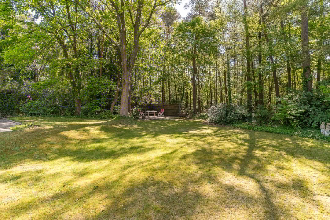 Foto 52 van Prins Johan Frisolaan 13