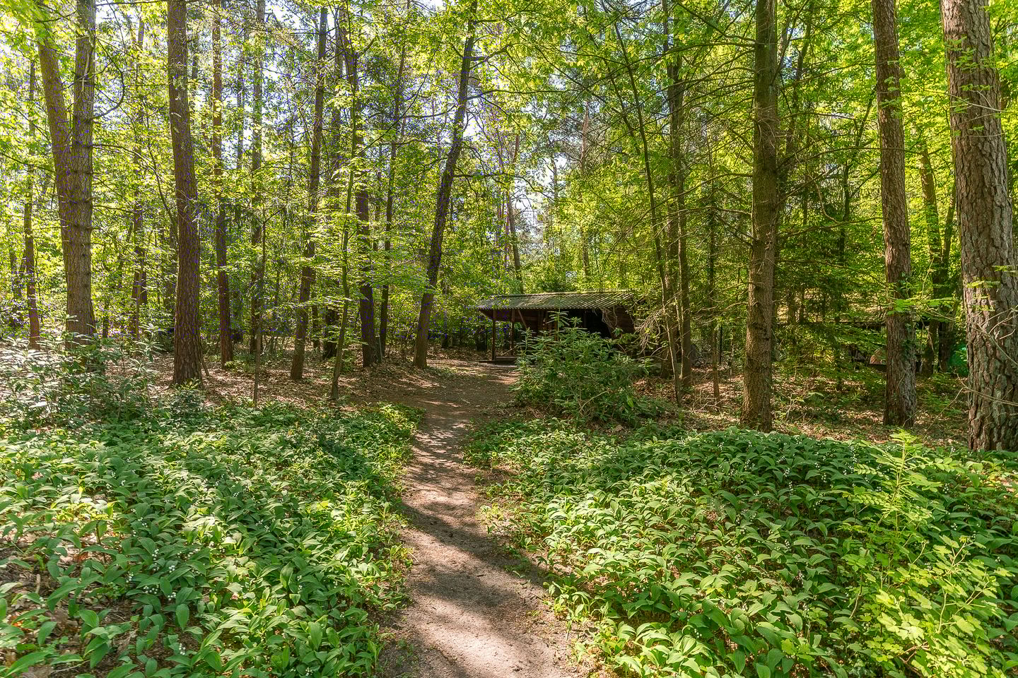 Foto 55 van Prins Johan Frisolaan 13